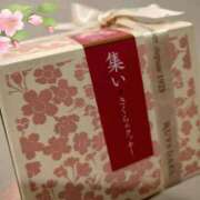 ヒメ日記 2025/04/12 20:16 投稿 ひかり チェックイン素人専門大人女子