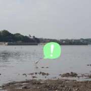 ひかり 今日と明日！ チェックイン素人専門大人女子