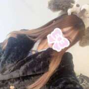 ヒメ日記 2026/04/05 23:42 投稿 みなみ◇色白美肌のS級ギャル◇ H-ash（アッシュ）