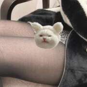 ヒメ日記 2025/03/17 14:44 投稿 りんか 学園collection