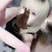 ヒメ日記 2025/07/25 17:32 投稿 りんか 学園collection