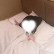 ヒメ日記 2026/02/01 12:24 投稿 りんか 学園collection