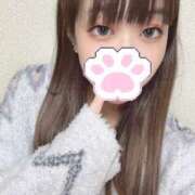 ヒメ日記 2025/11/30 08:02 投稿 水上しのん 渋谷ガーデン