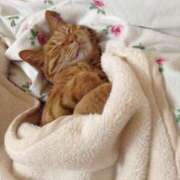 ヒメ日記 2025/03/29 09:23 投稿 サヤカ Club 妻