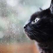 ヒメ日記 2025/04/03 15:29 投稿 サヤカ Club 妻