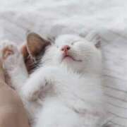 ヒメ日記 2025/04/06 08:49 投稿 サヤカ Club 妻