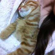 ヒメ日記 2025/04/12 15:16 投稿 サヤカ Club 妻