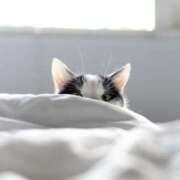 ヒメ日記 2025/04/22 17:24 投稿 サヤカ Club 妻