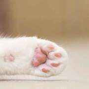 ヒメ日記 2025/04/25 15:46 投稿 サヤカ Club 妻