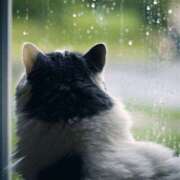 ヒメ日記 2025/05/17 09:06 投稿 サヤカ Club 妻