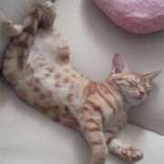 ヒメ日記 2025/05/26 16:59 投稿 サヤカ Club 妻