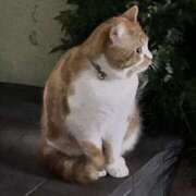 ヒメ日記 2025/06/09 18:25 投稿 サヤカ Club 妻