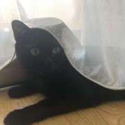 ヒメ日記 2025/07/07 16:37 投稿 サヤカ Club 妻