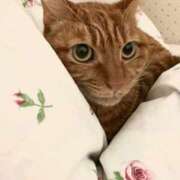 ヒメ日記 2025/09/04 16:45 投稿 サヤカ Club 妻