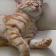 ヒメ日記 2025/09/22 15:05 投稿 サヤカ Club 妻