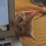 ヒメ日記 2025/09/30 16:41 投稿 サヤカ Club 妻