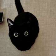 ヒメ日記 2025/10/04 09:55 投稿 サヤカ Club 妻