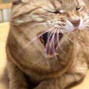 ヒメ日記 2025/10/09 16:57 投稿 サヤカ Club 妻