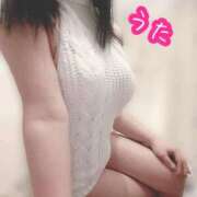 ヒメ日記 2026/01/19 22:32 投稿 うた 水戸ソープランド　水戸スリーナイン(9990)