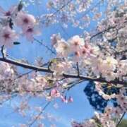 ヒメ日記 2026/04/07 07:31 投稿 うた 水戸ソープランド　水戸スリーナイン(9990)