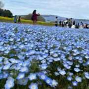 ヒメ日記 2026/04/19 17:01 投稿 うた 水戸ソープランド　水戸スリーナイン(9990)