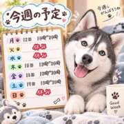ヒメ日記 2026/10/12 06:01 投稿 うた 水戸ソープランド　水戸スリーナイン(9990)