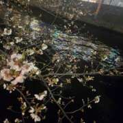 ヒメ日記 2025/04/12 21:07 投稿 ゆきな 東京人妻セレブリティ（ユメオト）