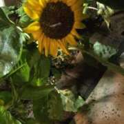 ヒメ日記 2025/06/19 23:36 投稿 ゆきな 東京人妻セレブリティ（ユメオト）