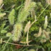 ヒメ日記 2025/10/13 14:16 投稿 ゆきな 東京人妻セレブリティ（ユメオト）