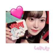 ヒメ日記 2025/03/29 09:00 投稿 ミイ バニーコレクション新潟店