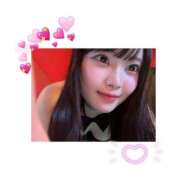 ヒメ日記 2025/04/12 13:29 投稿 ミイ バニーコレクション新潟店