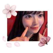 ヒメ日記 2025/04/13 01:23 投稿 ミイ バニーコレクション新潟店