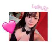 ヒメ日記 2025/05/17 12:04 投稿 ミイ バニーコレクション新潟店