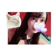 ヒメ日記 2025/12/29 10:36 投稿 ミイ バニーコレクション新潟店