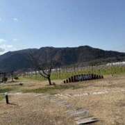 ヒメ日記 2026/03/01 20:09 投稿 ミイ バニーコレクション新潟店