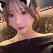 ヒメ日記 2025/03/19 01:44 投稿 春川みれい ブルーバード