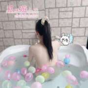 ヒメ日記 2025/03/16 22:35 投稿 のえる One More奥様　横浜関内店