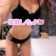 ヒメ日記 2025/09/07 13:31 投稿 ゆめ シャロン横浜