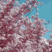 ヒメ日記 2025/04/05 17:16 投稿 ひかる 熟女の風俗アウトレット大垣安八羽島店