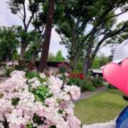 ヒメ日記 2025/03/22 12:10 投稿 望月れいら La elf（ラ・エルフ）