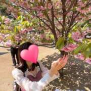 ヒメ日記 2025/03/27 23:43 投稿 望月れいら La elf（ラ・エルフ）