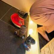 ヒメ日記 2025/03/29 12:13 投稿 望月れいら La elf（ラ・エルフ）