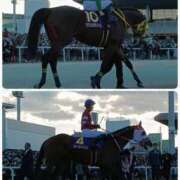 ヒメ日記 2025/04/06 00:03 投稿 望月れいら La elf（ラ・エルフ）