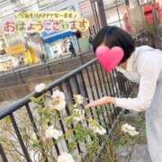 ヒメ日記 2025/04/07 14:23 投稿 望月れいら La elf（ラ・エルフ）