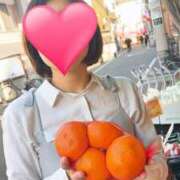 ヒメ日記 2025/04/09 10:23 投稿 望月れいら La elf（ラ・エルフ）