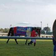 ヒメ日記 2025/04/14 15:53 投稿 望月れいら La elf（ラ・エルフ）