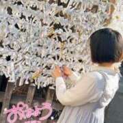 ヒメ日記 2025/04/19 12:13 投稿 望月れいら La elf（ラ・エルフ）