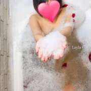 ヒメ日記 2025/04/26 17:03 投稿 望月れいら La elf（ラ・エルフ）