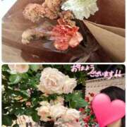 ヒメ日記 2025/05/15 11:04 投稿 望月れいら La elf（ラ・エルフ）