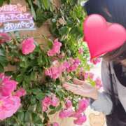 ヒメ日記 2025/05/25 13:53 投稿 望月れいら La elf（ラ・エルフ）